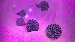 wat is humaan papillomavirus